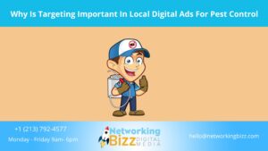 Why Is Targeting Important In Local Digital Ads For Pest Control